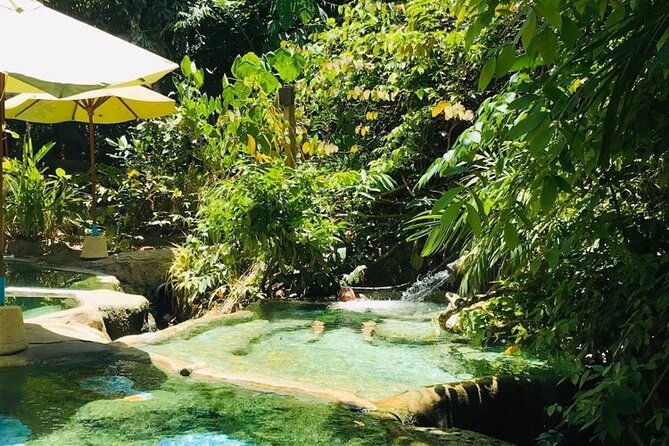 Emerald Pool: Jungle Tour, Private Full Day with Lunch - FAQ