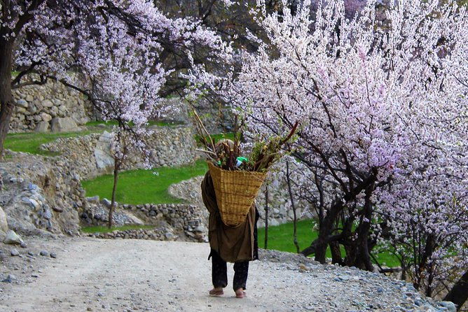 Explore Gilgit Baltistan Epic Jeep Safari and Cultural Adventure - The Sum Up