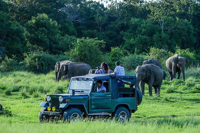 From Colombo: Sigiriya Rock, Dambulla & National park safari - FAQs