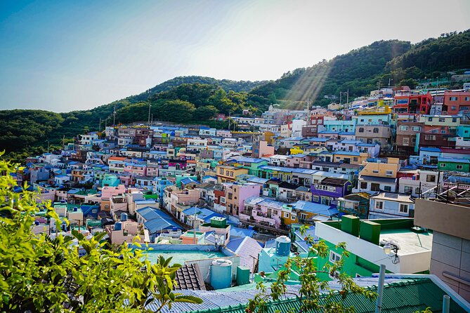 Full Day Busan and Gyeongju Guided Tour - What Travelers Say About the Guides