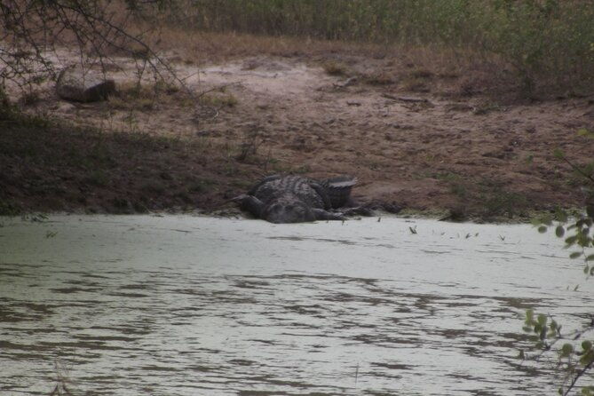 Full Day Safari Tour in Yala National Park - The Sum Up