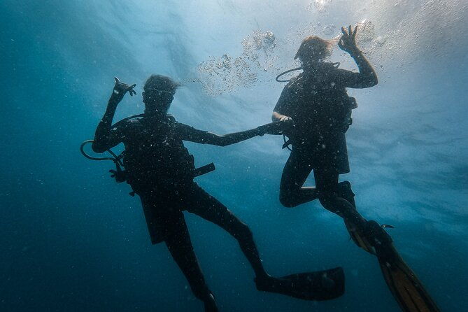 Fun Dives For Certified Divers - FAQ