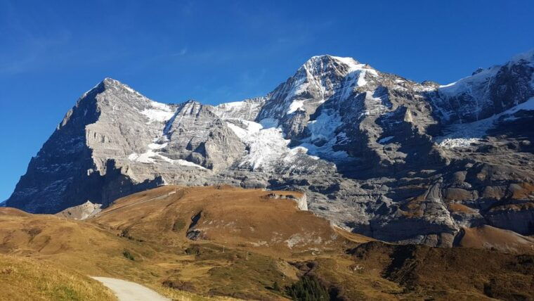 Grindelwald-Scheidegg-Lauterbrunnen Small Group Tour - Final Thoughts