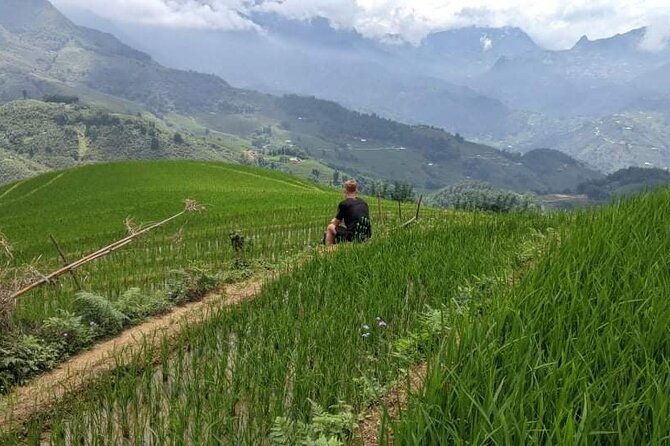 Half-Day Hometrek from Sapa with Hmong Sister House - The Sum Up: Who Is This Tour Best For?