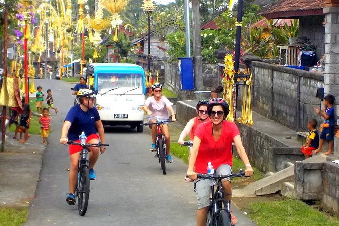 Half-Day Ubud Electric Cycling Tour to Tirta Empul Water Temple - The Sum Up