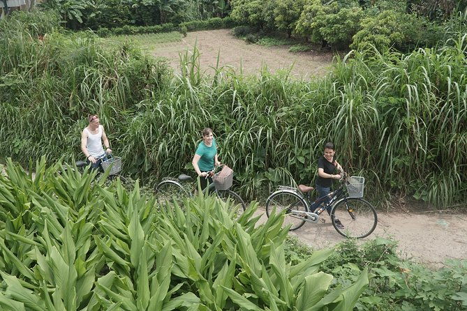 Hanoi Backstreet Bicycle Tour - Final Thoughts