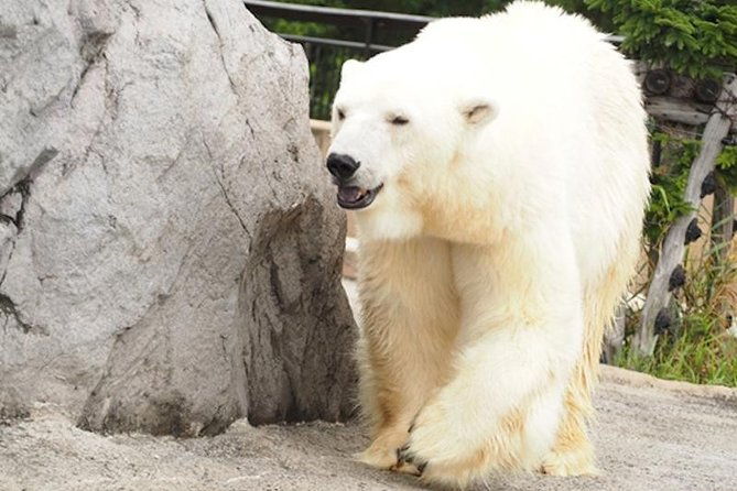 Hokkaido Highlights of Flower Blossom, Asahiyama Zoo& Blue pondAoi-ike! - FAQ