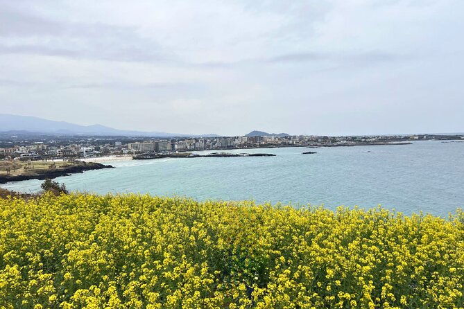 Jeju Eastern Must visit Unesco Bus Tour - FAQ
