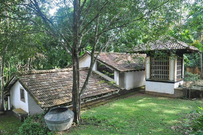 Kanneliya Rain Forest Tour - Who Is This Tour Best For?
