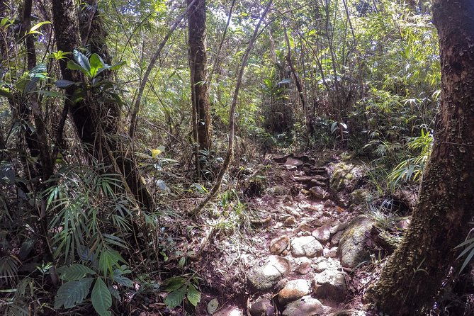 Knuckles Leopard trail Trek from Kandy - FAQ