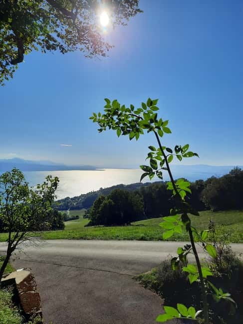 Lausanne: Walking Tour with Chocolate Tastings & Metro - FAQs