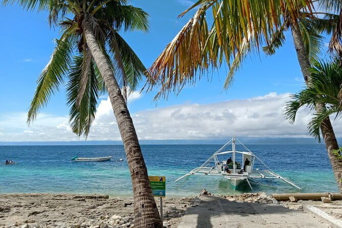 Moalboal Sardine Run, Sea Turtle and Mantayupan Falls - FAQ