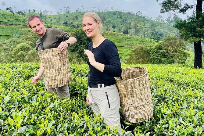 Nuwara Eliya Tours - Guides and Customer Service