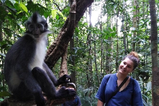 ONE DAY JUNGLE TREKKING 6-7 hours (see orang utan) + RAFTING in BUKIT LAWANG - FAQ