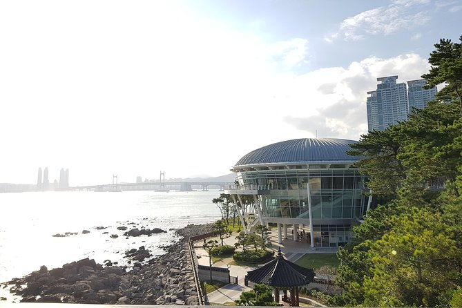 One Day Private Busan Tour with Local Tour Guide - Why This Tour Works
