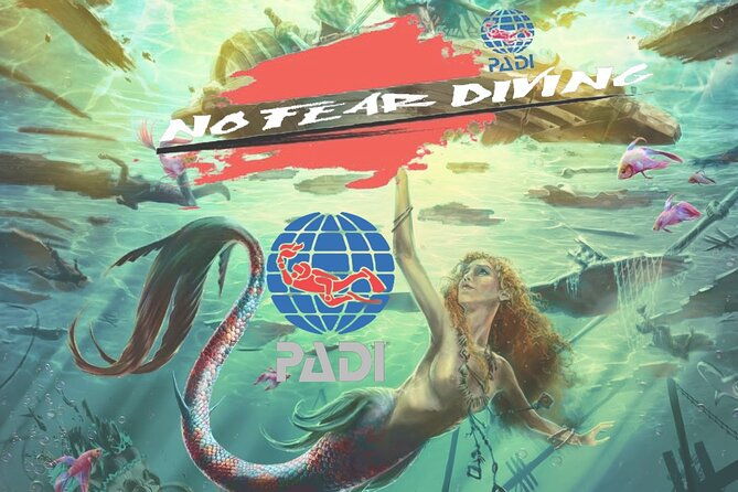 Padi Discover Scuba Diving In Amed Bali - FAQs
