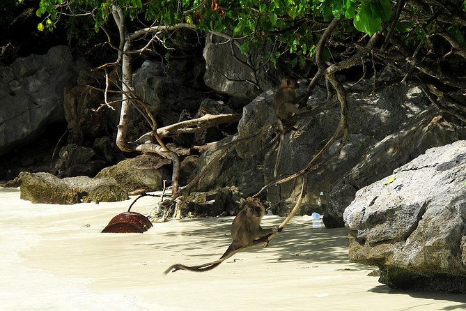 Phi Phi Island by Premium Speedboat with Lunch from Phuket - Final Thoughts