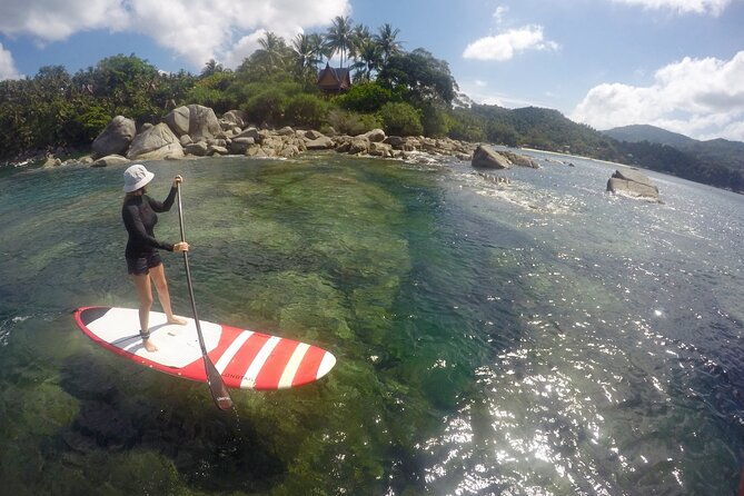 Phuket Stand Up Paddle Board Tour - Who Should Consider This Tour?
