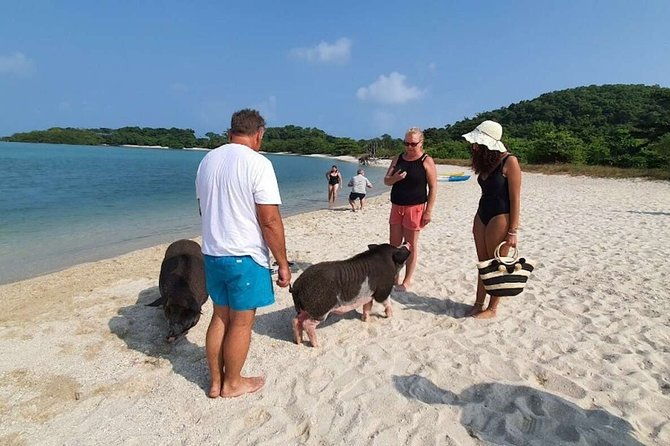 Pig Island Snorkeling & Sightseeing Tour By Speedboat From Koh Samui - Who is This Tour Perfect For?