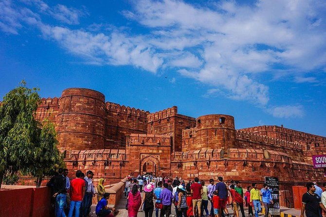 Private 3-Day Ranthambhore Tiger Tour from Agra ending in Jaipur - Final Thoughts: Is This Tour Worth It?