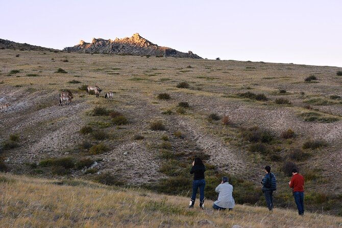 Private 3-Day Tour of National Parks From Ulaanbaatar - Final Thoughts