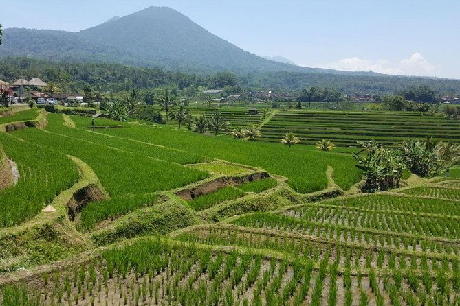 Private 4-Day Tours - Best Bali Tours Package - Best of Bali Highlights - FAQs