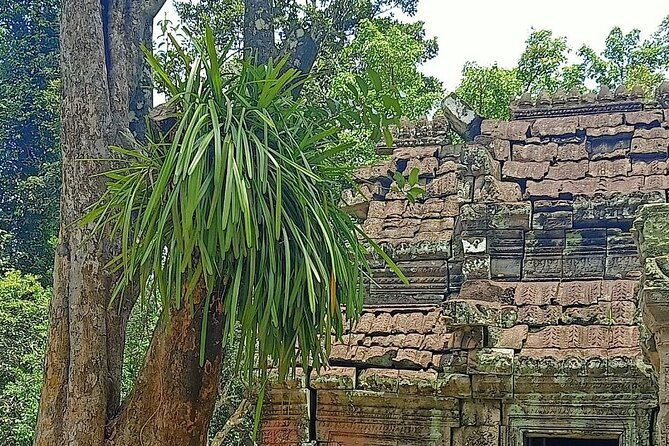 Private Angkor Wat Guided Sunset Tour - Final Thoughts