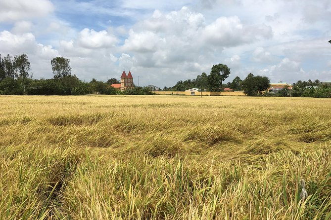 Private Full-day Mekong Tour From Ho Chi Minh City, Including River Cruise - Final Thoughts