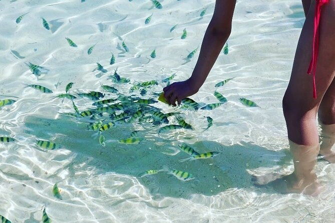 Private Longtail Boat Tour to Hong Islands - Final Thoughts