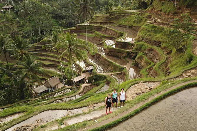Private Tour: Bali Volcano with Jungle Swing Experience - The value of a private experience