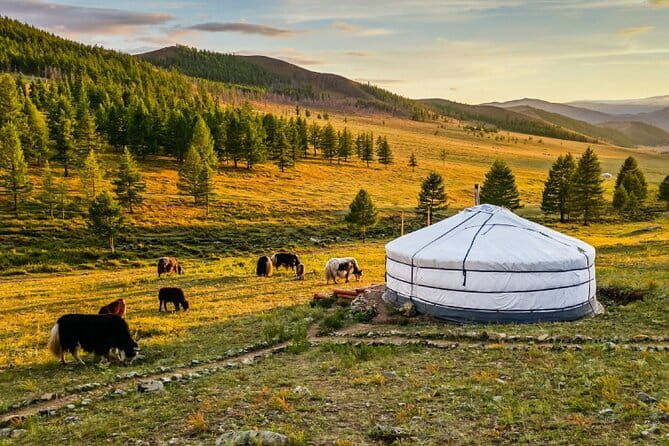 Private tour with Olivia: Chinggis Statue-Terelj-Aryabal temple - FAQ