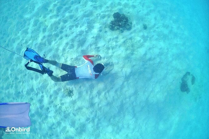 PRO-SNORKELING to Explore Hidden Coral Reefs (MAX 12 PAX) - Final Thoughts