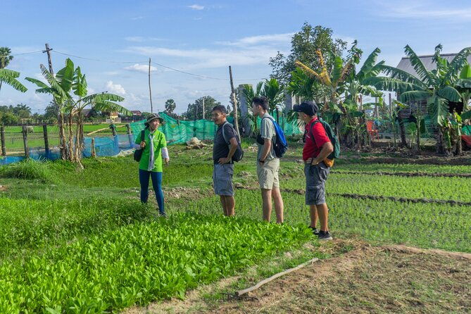 Siem Reap Countryside & Sunset Vespa Tour - Value and Practicality