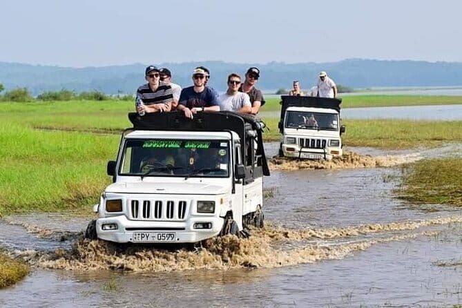 Sigiriya Rock Tour & Minneriya Halfday Safari Tour Sri Lanka - Who Is This Tour Best For?