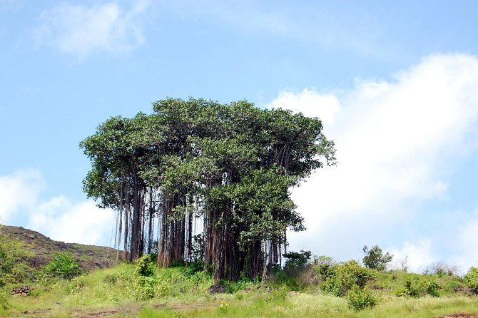 Sinhagad Fort Trip (Guided Half Day Sightseeing Tour) - FAQs