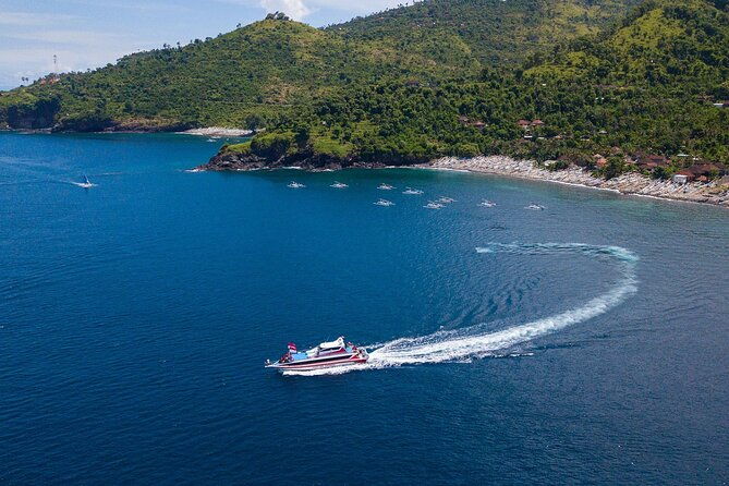 Snorkeling Adventure with East Nusa Penida Tour All Inclusive - The Group Dynamic and Guides