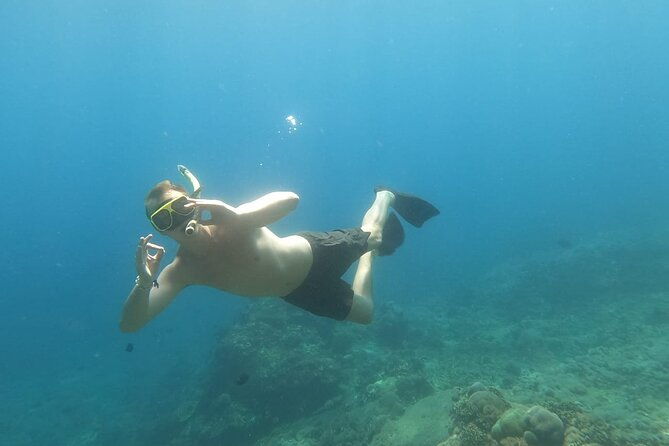 Snorkeling Manta Bay And West Penida Private Guided Tour - FAQ: Your Questions Answered