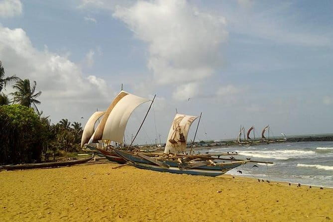 Sri Lanka Nature, Culture and Wild tour - Relaxing on Mirissa Beach