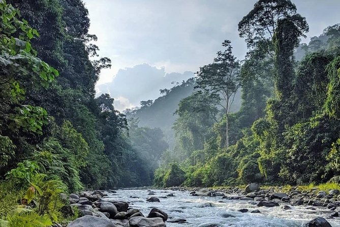 TOUR PACKAGE (jungle trekking, taxi, Room) 4 DAYS 3 NIGHTS in BUKIT LAWANG - Practical Details and Considerations