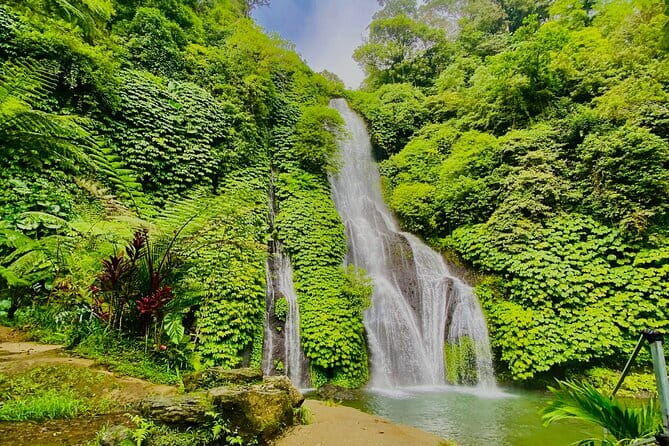 Ubud : Kintamani Downhill Cycling Tour with Lunch - The Sum Up: Is It Worth It?