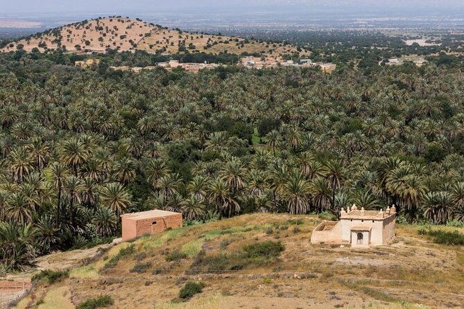 Visit Taroudant and Tiout 1 day From Agadir - Pricing and Value  