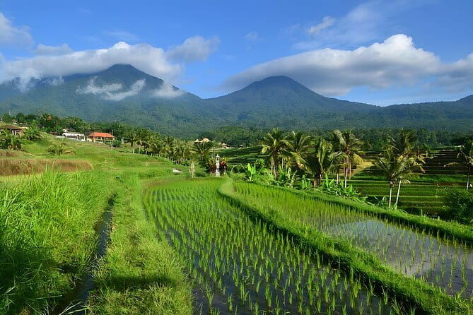 Waterfall Tour: North Bali Best Waterfalls - Final Thoughts