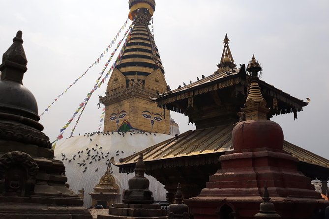 World Heritage Sites and Wildlife - Final Thoughts