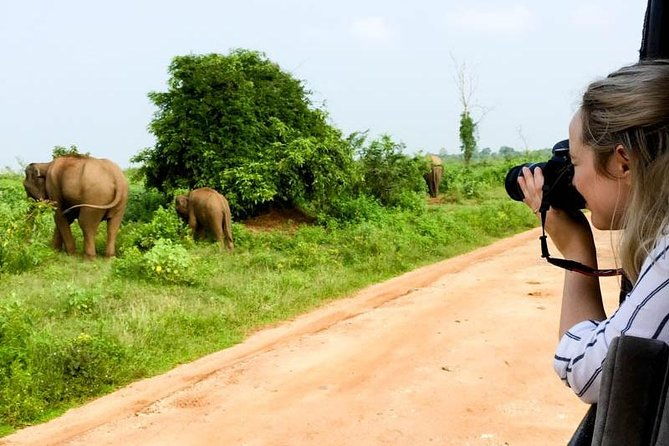 Yala Safari Day Trip from Bentota/ Kalutara/ Ahungalla/ Hikkaduwa - Frequently Asked Questions