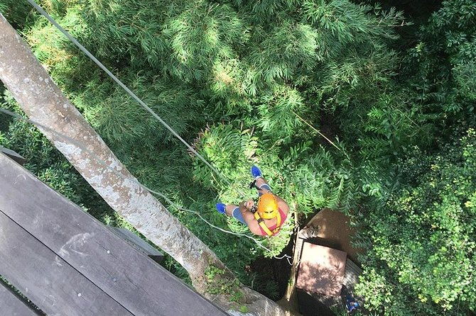 Zipline 18 Platforms and ATV Adventure Tour From Phuket - The Sum Up