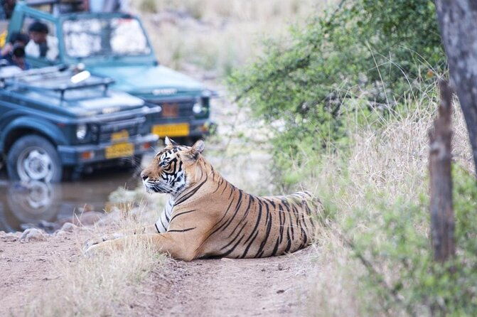 8-Day Private Golden Triangle Tour with a Ranthambore Wildlife Safari - An Overview of the 8-Day Golden Triangle Tour