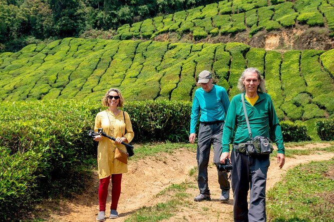8 Days Kerala Private Tour Covering Kochi- Munnar- Periyar- Alleppey and Kovalam - Key Points