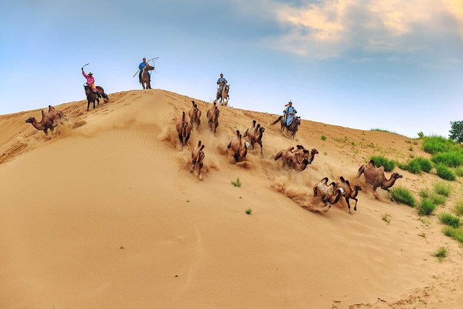 8 Days Tour: Gobi Desert And Kharkhorin - Introducing the 8-Day Gobi Desert and Kharkhorin Tour