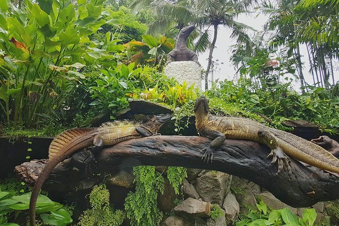 Bali Reptile Park Entrance Ticket - The Sum Up