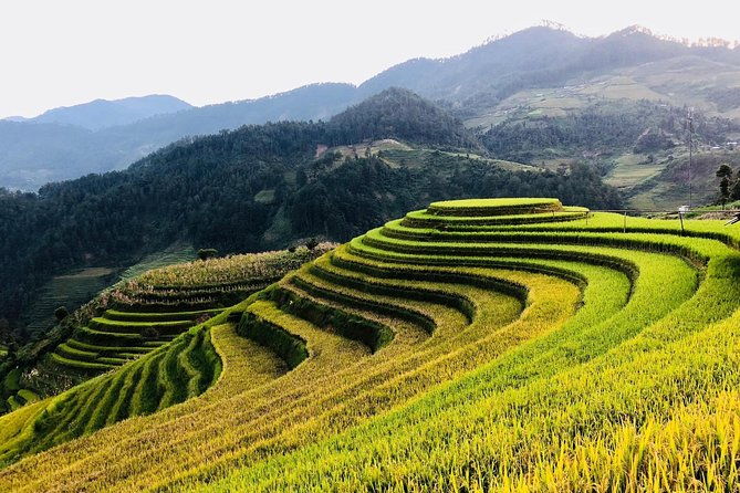 Discover the Beauty of Sa Pa: A One-Day Trek - Final Thoughts